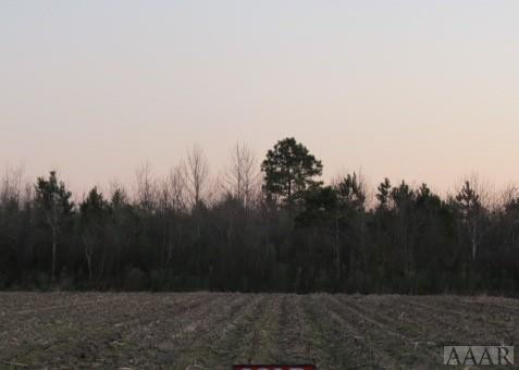 Tbd Sound Side Road Edenton, NC 27932 - Photo 1 of 1 Main View