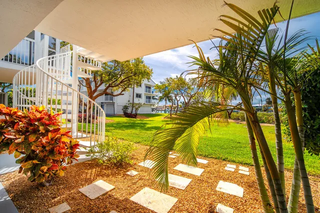 a view of a big yard with a house in the background
