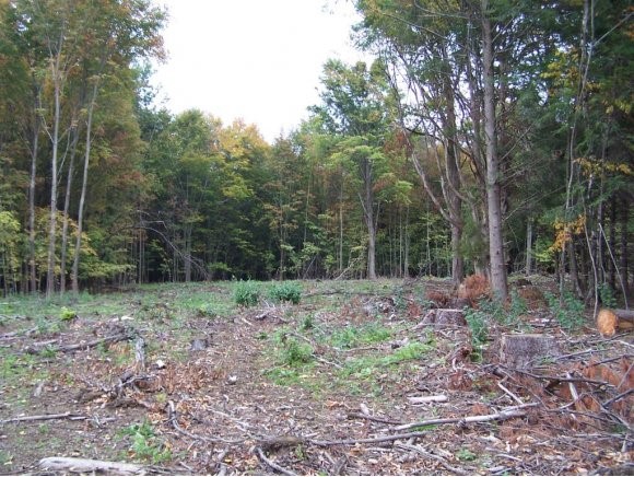 Lot 4 Hardscrabble Road Milton, VT 05468 - Photo 1 of 1 Gallery Image 1