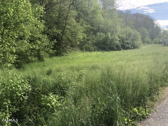 492 Lower Caney Valley Road Tazewell, TN 37879 - Photo 14 of 14 496E107B-24ED-4691-A693-D606DBF6D077
