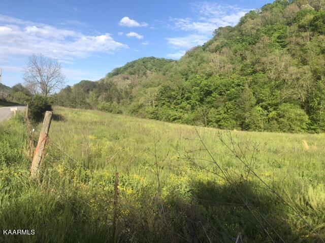 492 Lower Caney Valley Road Tazewell, TN 37879 - Photo 7 of 14 F6A9D732-5177-4D31-A047-99B3DB88F743