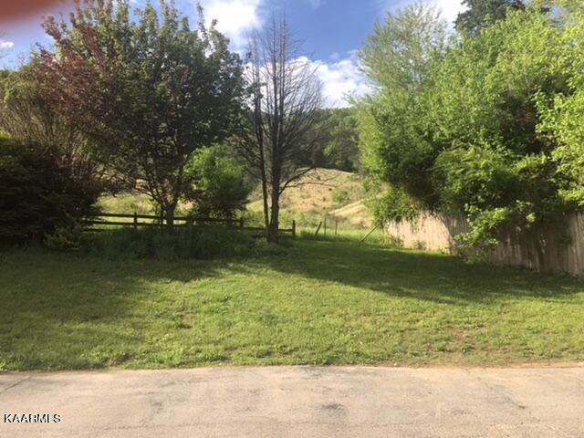 492 Lower Caney Valley Road Tazewell, TN 37879 - Photo 9 of 14 ACF74C98-516D-427A-A73E-DB9487749C09