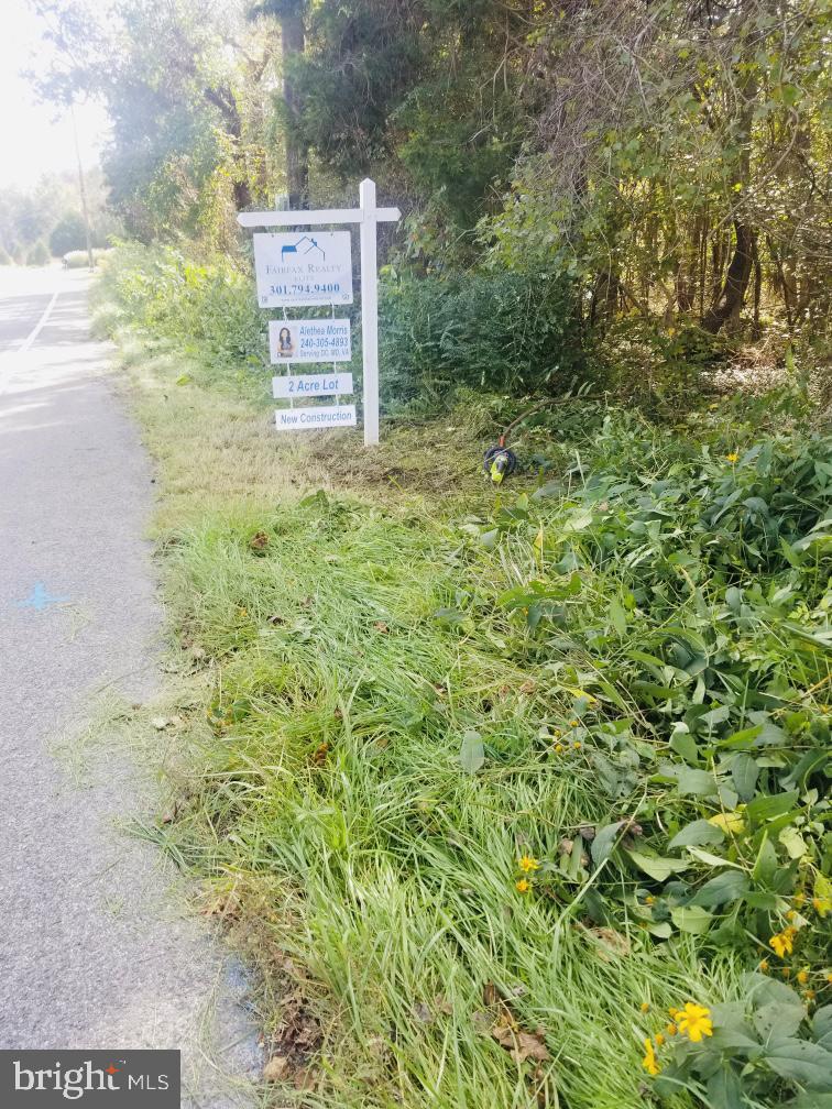 a view of a back yard