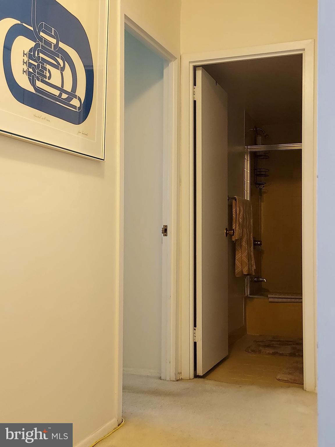 5225 Pooks Hill Road, Unit 1211S Bethesda, MD 20814 - Photo 16 of 32 Inviting hallway with modern art.