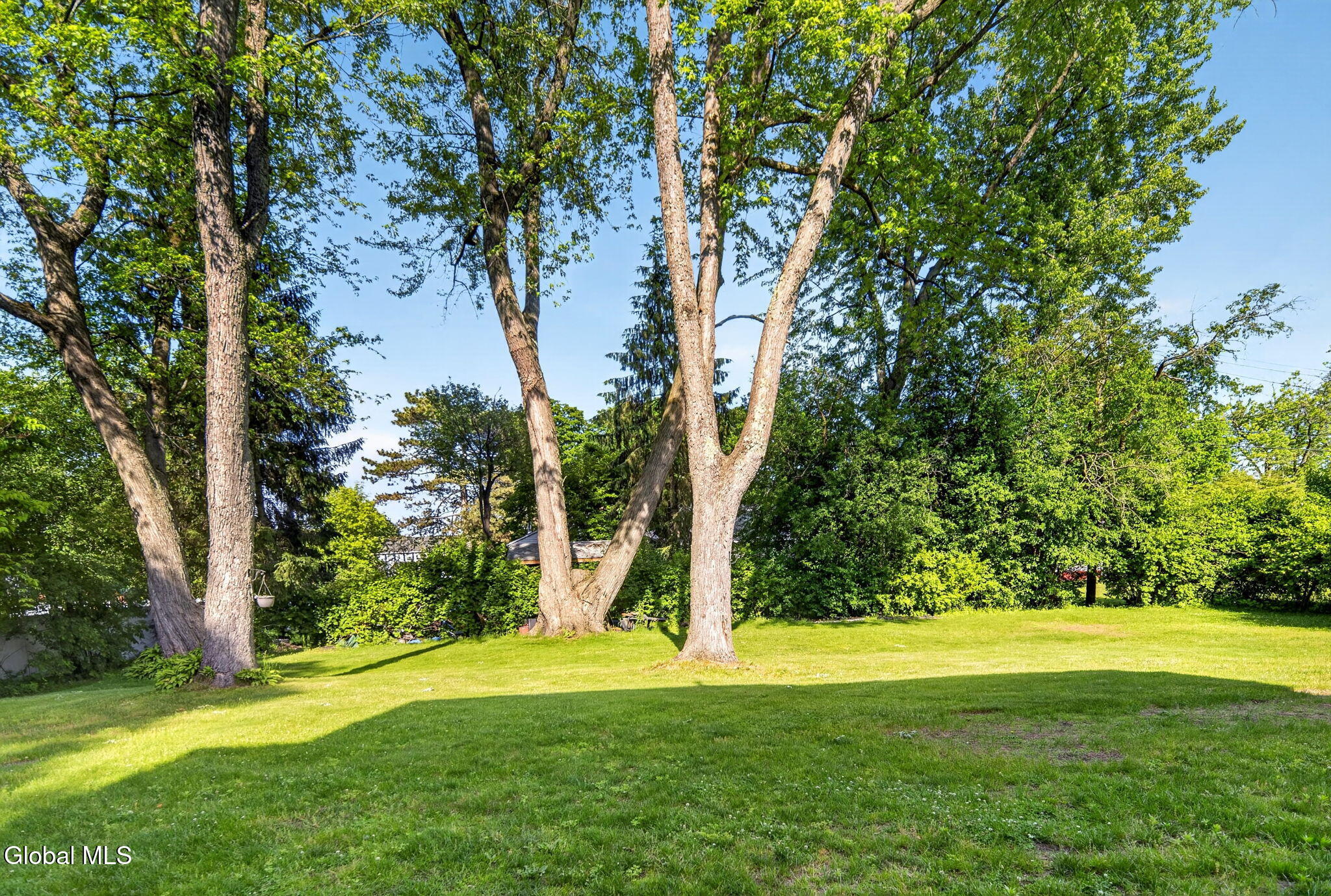 2232 Balltown Road Niskayuna, NY 12309 - Photo 24 of 25 23-web-or-mls-DSC01242