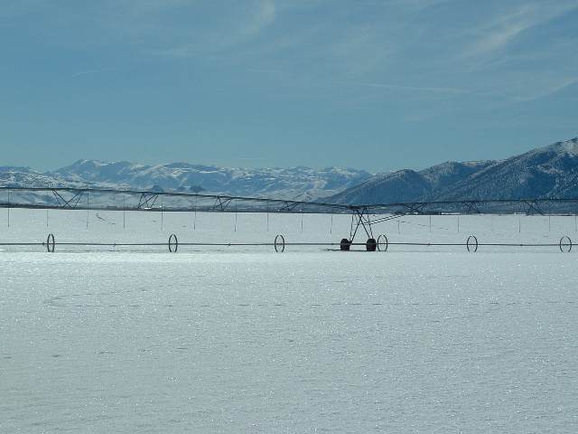 263 Jessen Road Wellington, NV 89444 - Photo 3 of 9 Photo 3