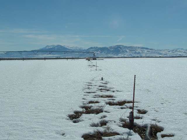 263 Jessen Road Wellington, NV 89444 - Photo 9 of 9 Photo 9