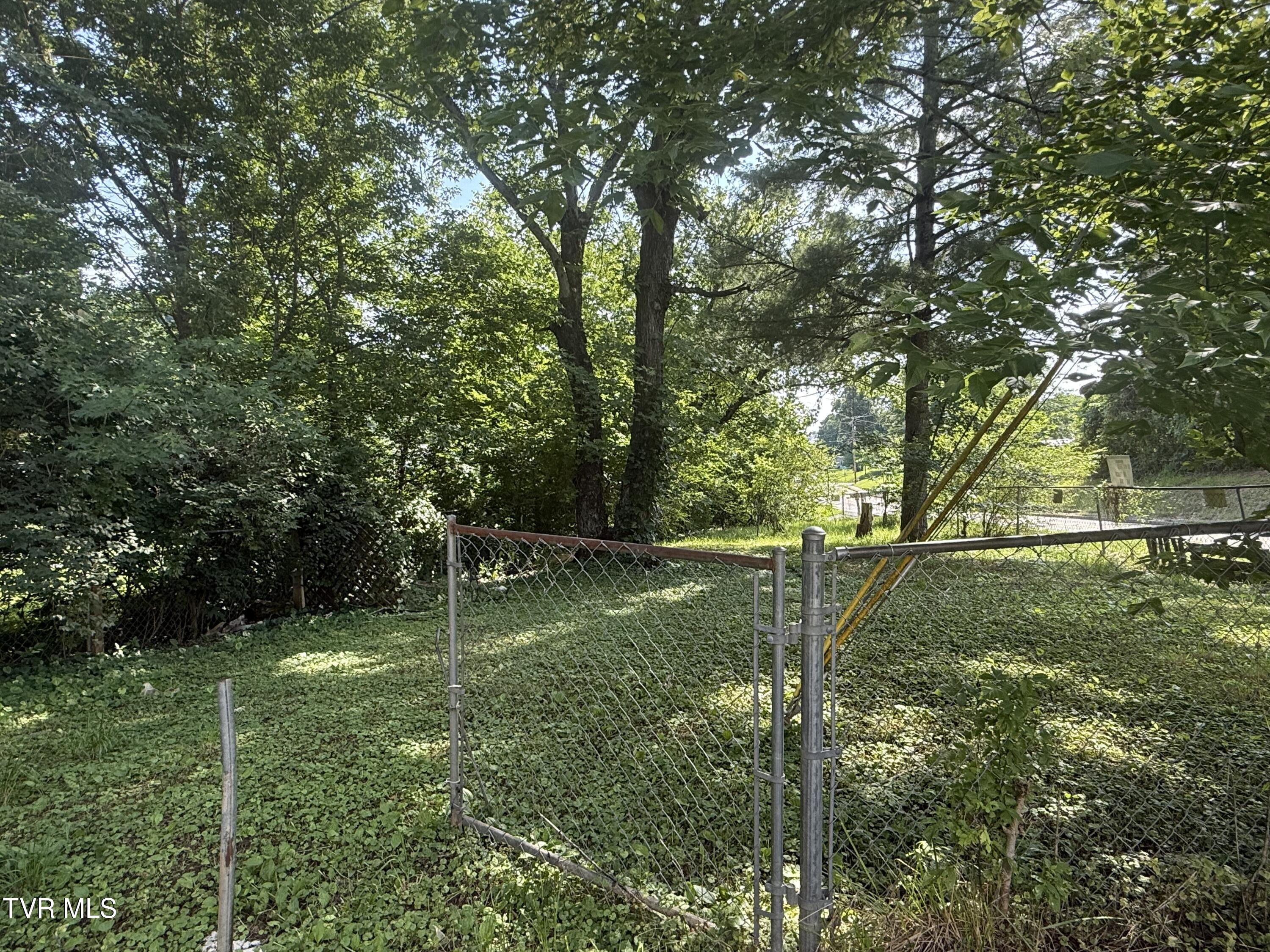 1506 King Springs Road Johnson City, TN 37601 - Photo 3 of 19 IMG_7872