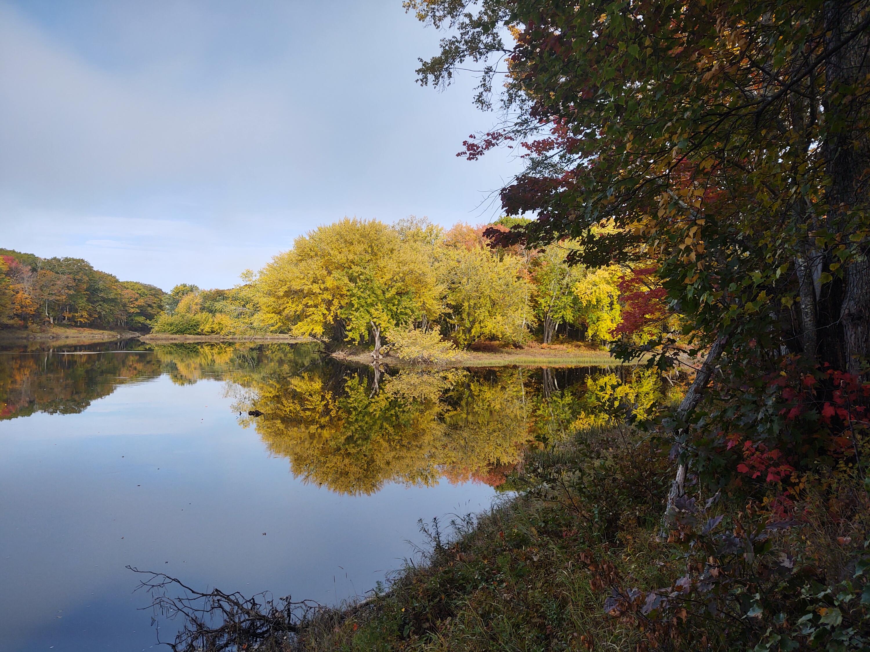 0 Middle River Road Greenbush, ME 04418 - Photo 10 of 42 IMG_20211012_095047437_HDR