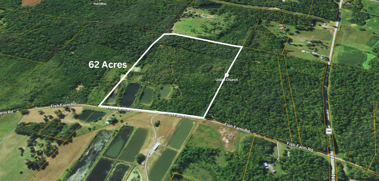 40 Fish Farm Road Golconda, IL 62938 - Photo 2 of 18