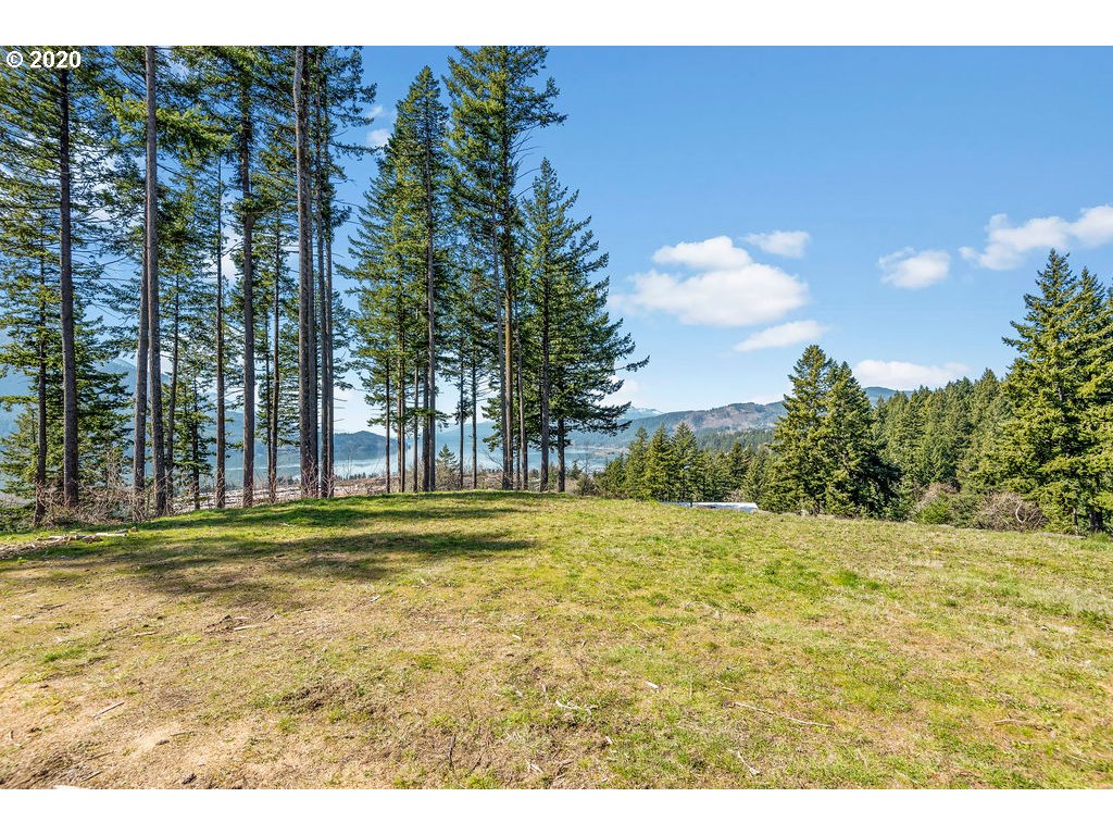 112 East Viewpoint Road Stevenson, WA 98648 - Photo 11 of 12 Gallery Image 11