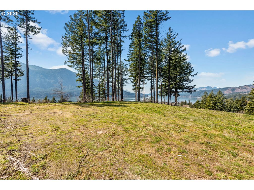 112 East Viewpoint Road Stevenson, WA 98648 - Photo 6 of 12 Gallery Image 6