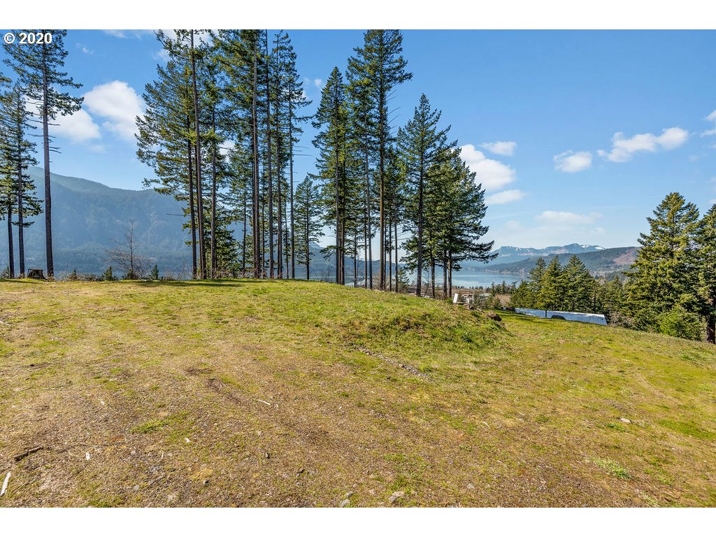 112 East Viewpoint Road Stevenson, WA 98648 - Photo 7 of 12 Gallery Image 7