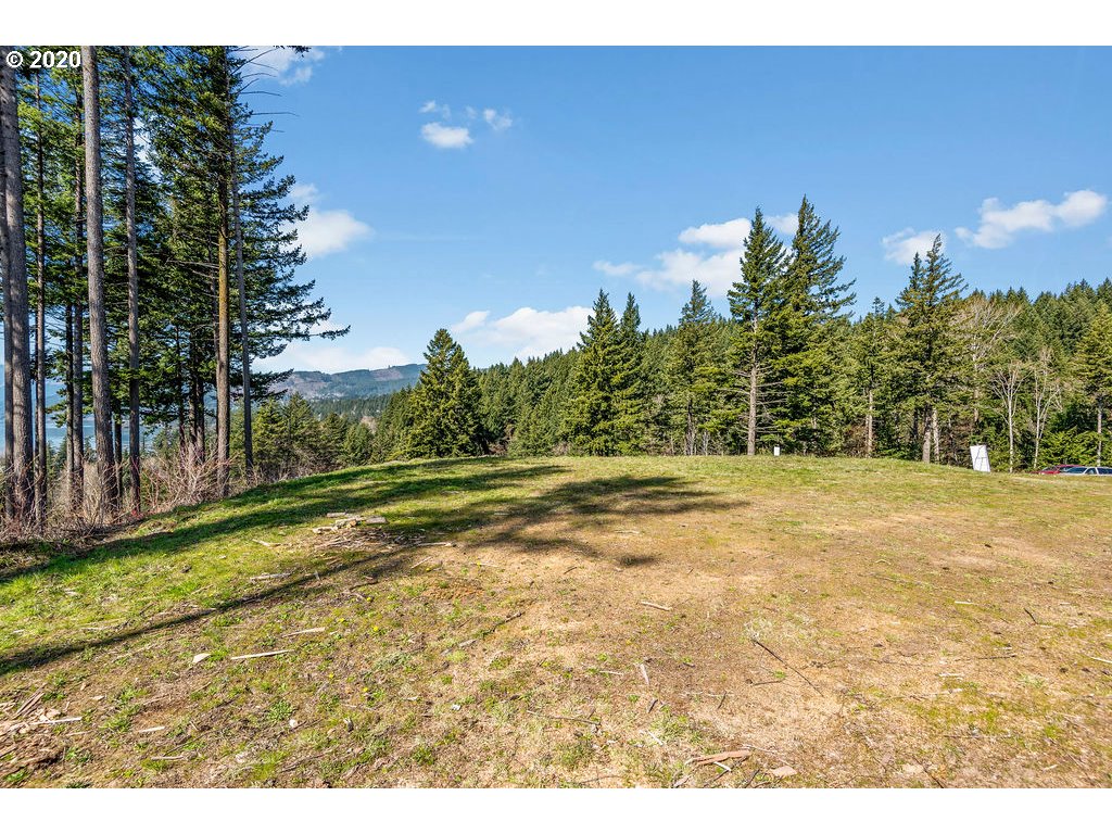 112 East Viewpoint Road Stevenson, WA 98648 - Photo 9 of 12 Gallery Image 9