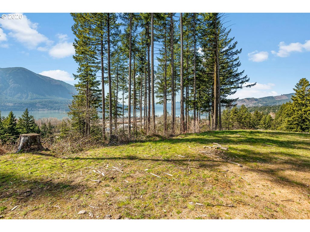 112 East Viewpoint Road Stevenson, WA 98648 - Photo 10 of 12 Gallery Image 10