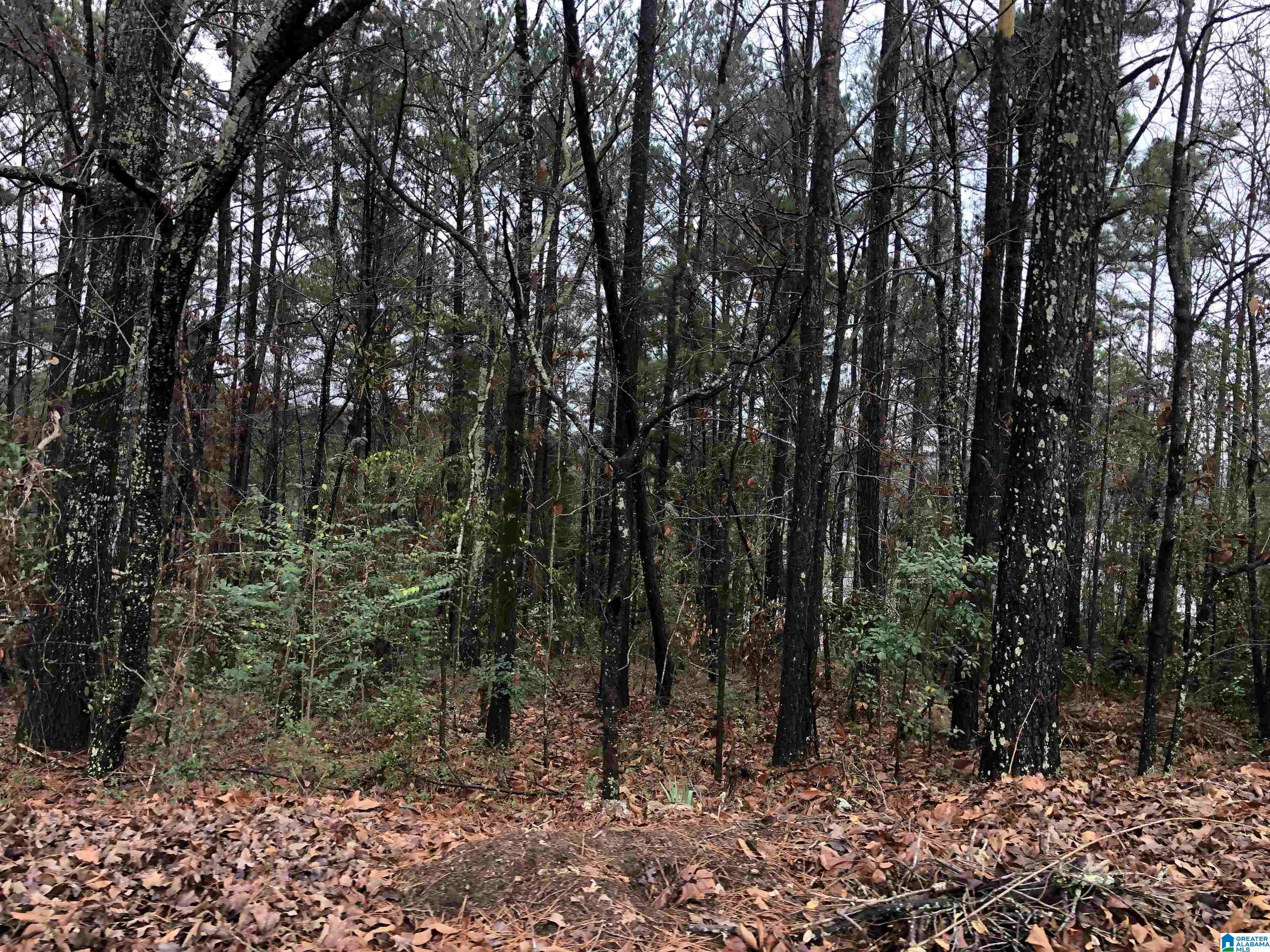 0 Autumn Ridge Trail, Unit 26 Pell City, AL 35128 - Photo 14 of 31