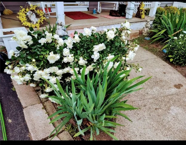 $360,000 | 94 White Springs Lane, Geneva Town, NY 14456