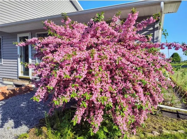 $360,000 | 94 White Springs Lane, Geneva Town, NY 14456