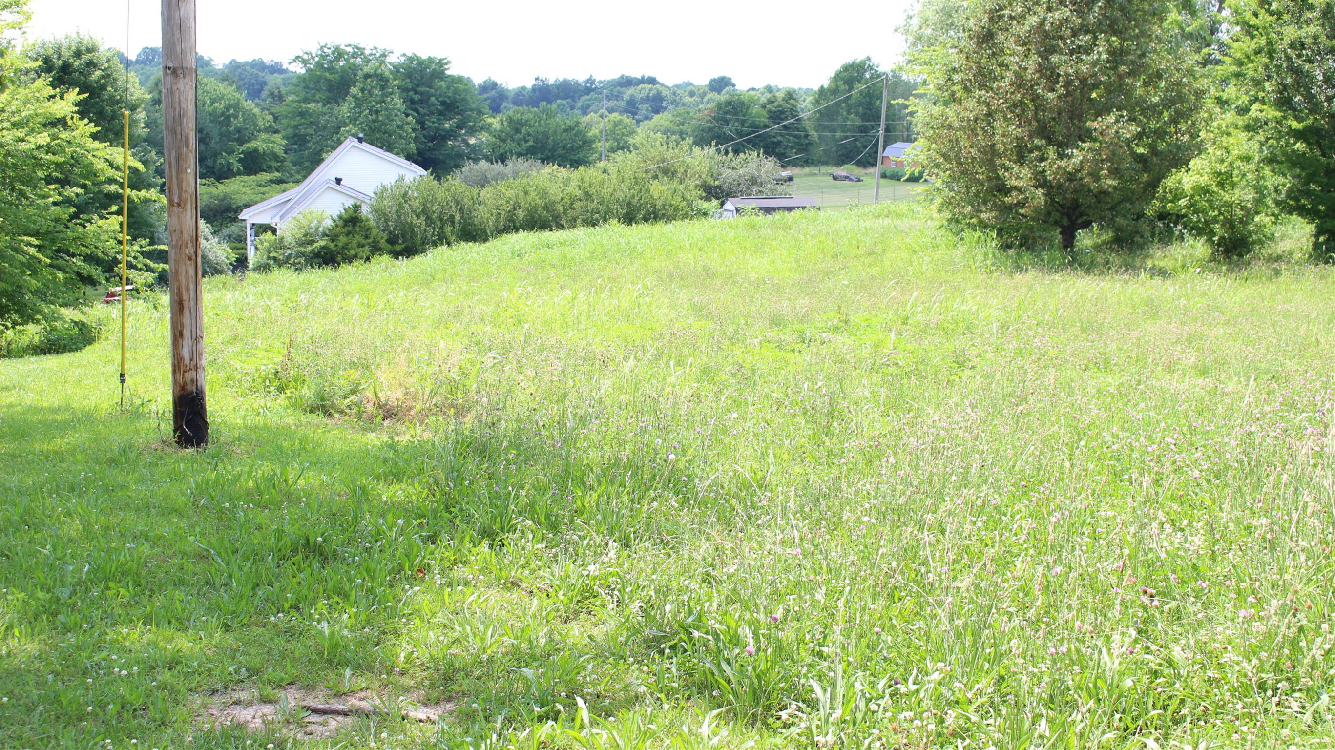 a view of an outdoor space and a yard