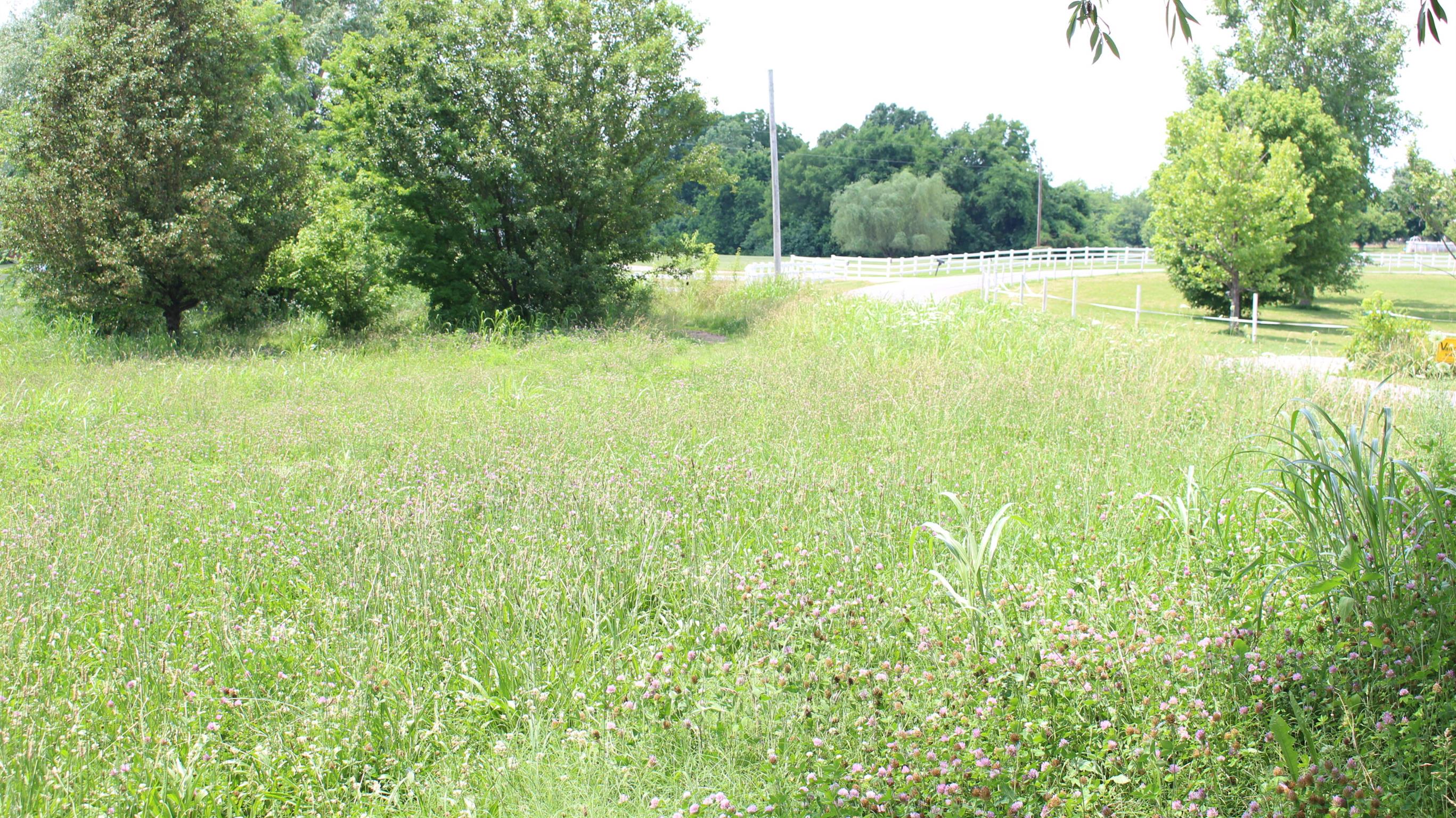 3676 Dobbin Road Springfield, TN 37172 - Photo 7 of 9 a view of a yard with a tree