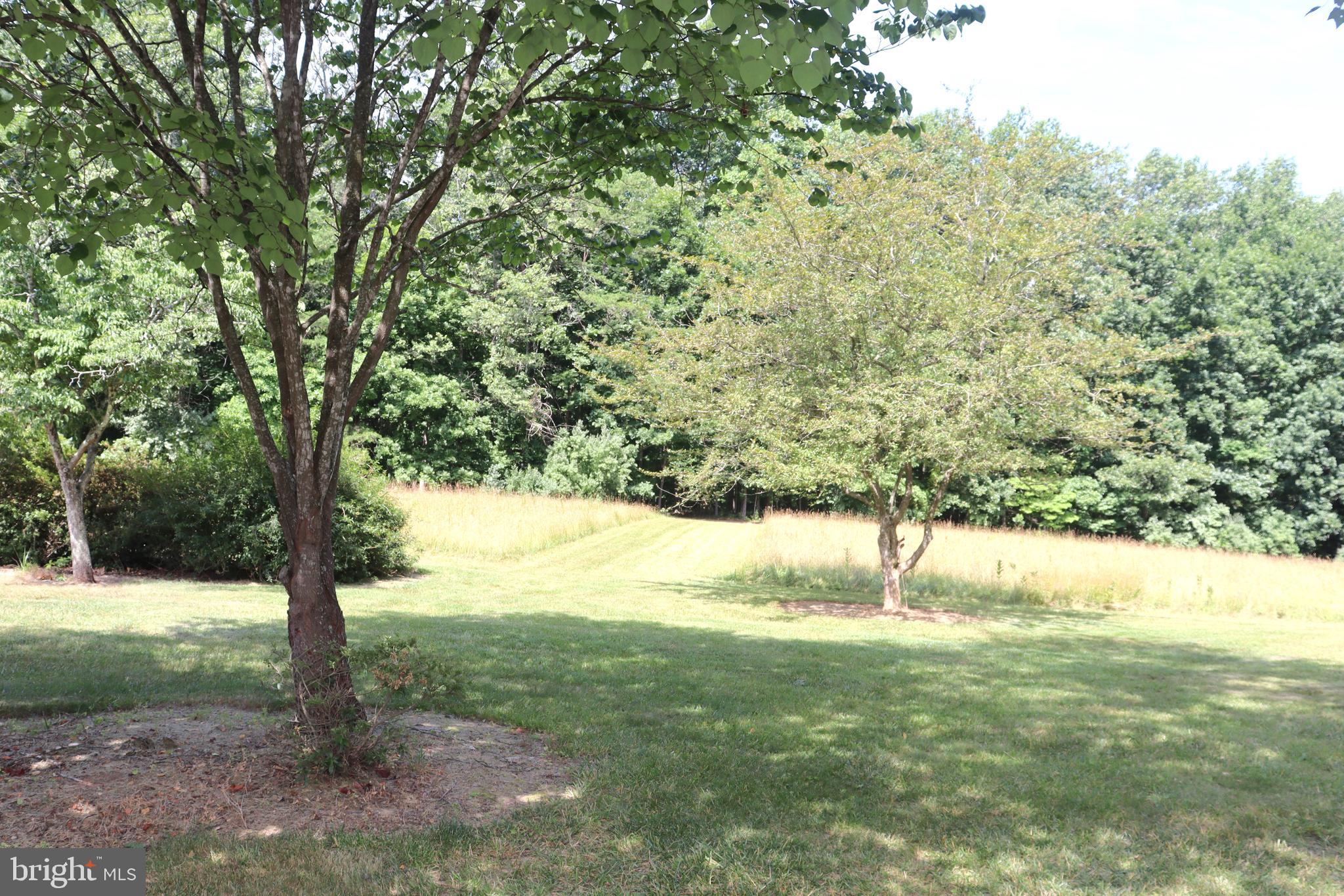 7652 Riverside Farm Road Marshall, VA 20115 - Photo 42 of 44 Backyard