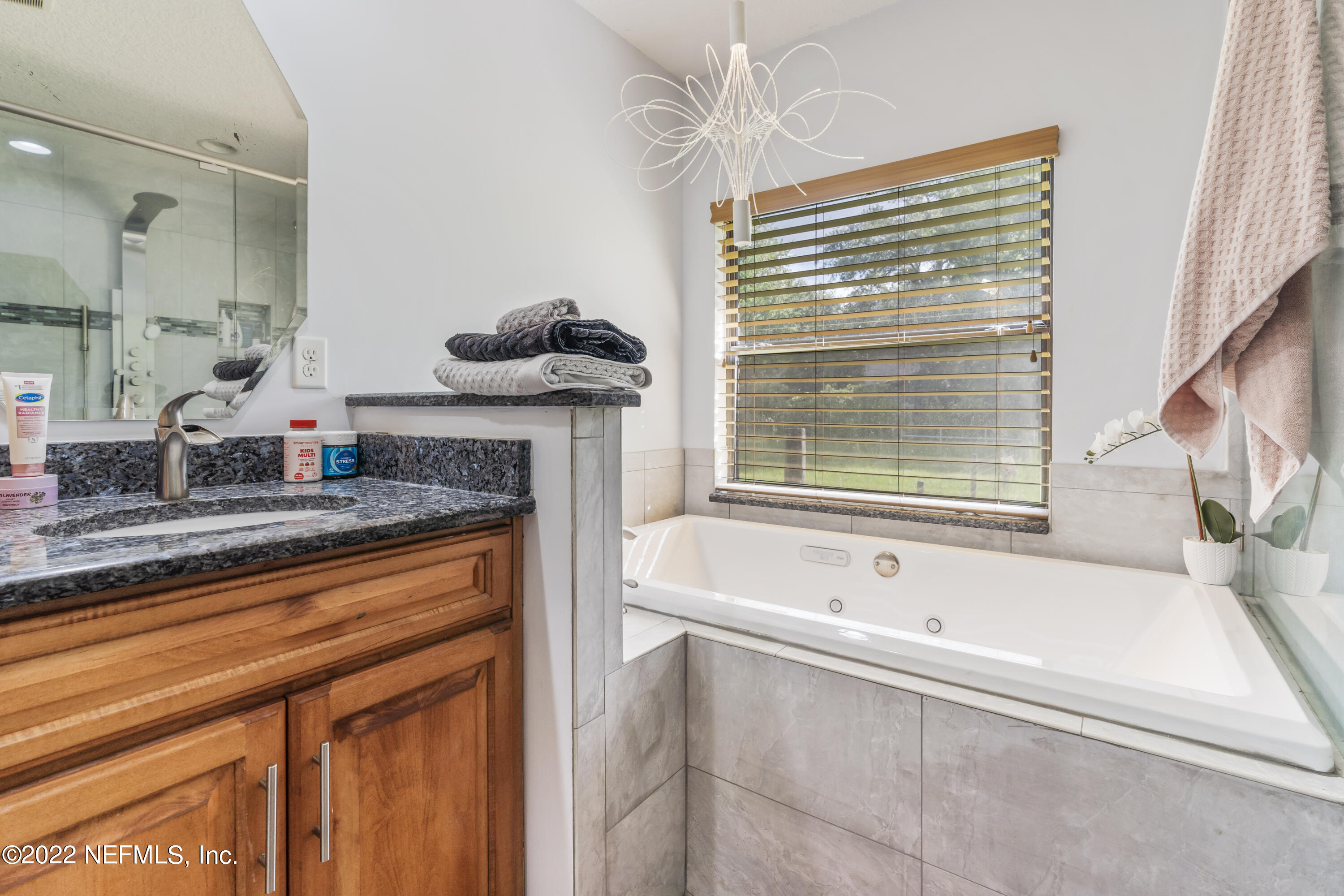 2870 Spring Drive Middleburg, FL 32068 - Photo 15 of 29 DSC05219