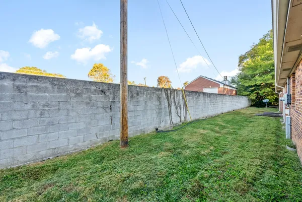 a view of a backyard