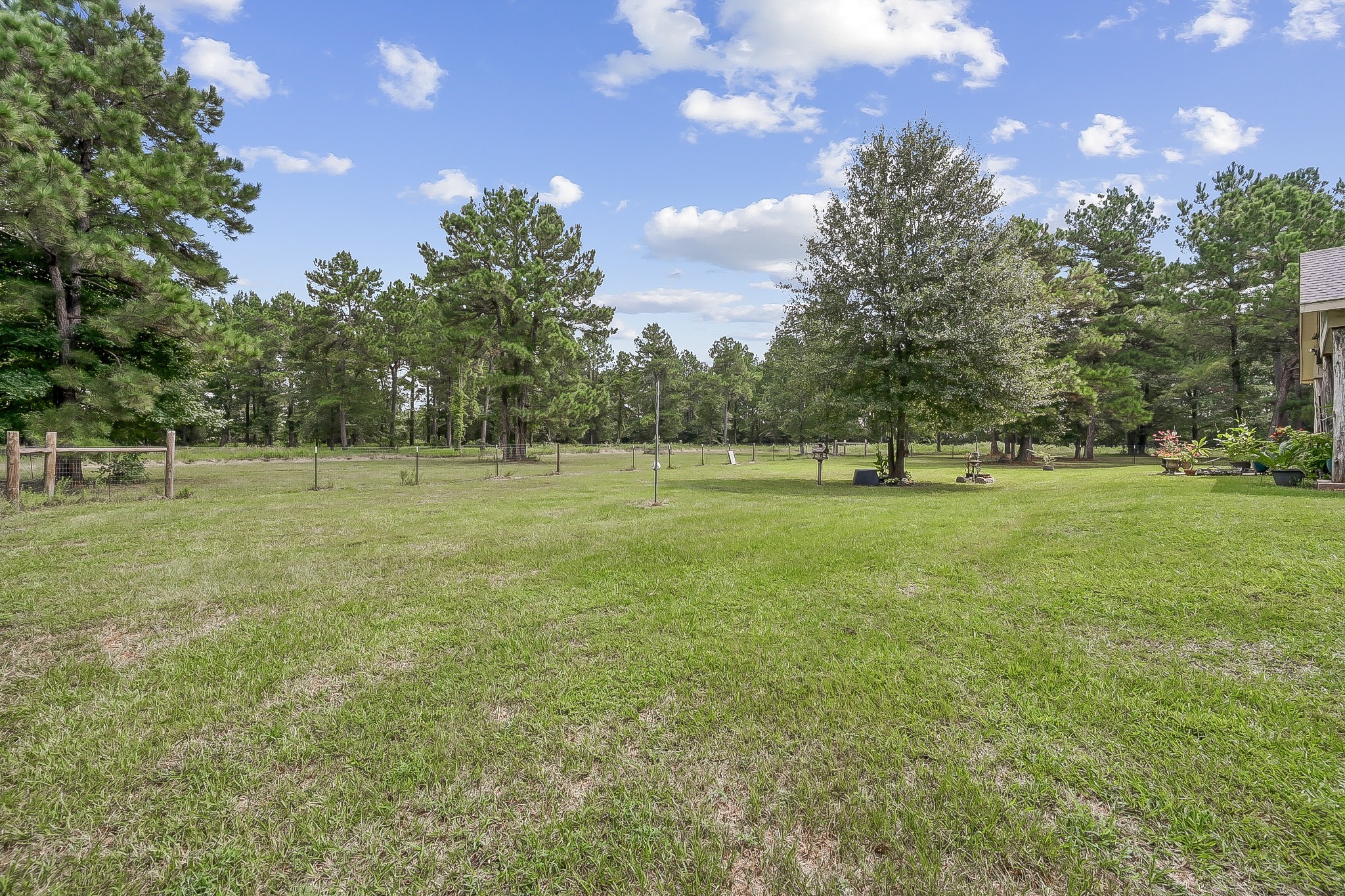 1183 Jones Road New Waverly, TX 77358 - Photo 38 of 40 a view of outdoor space with green field and trees