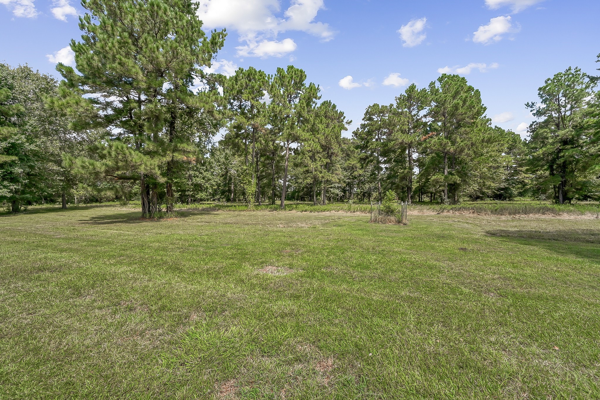 1183 Jones Road New Waverly, TX 77358 - Photo 39 of 40 a big yard with lots of green space and trees