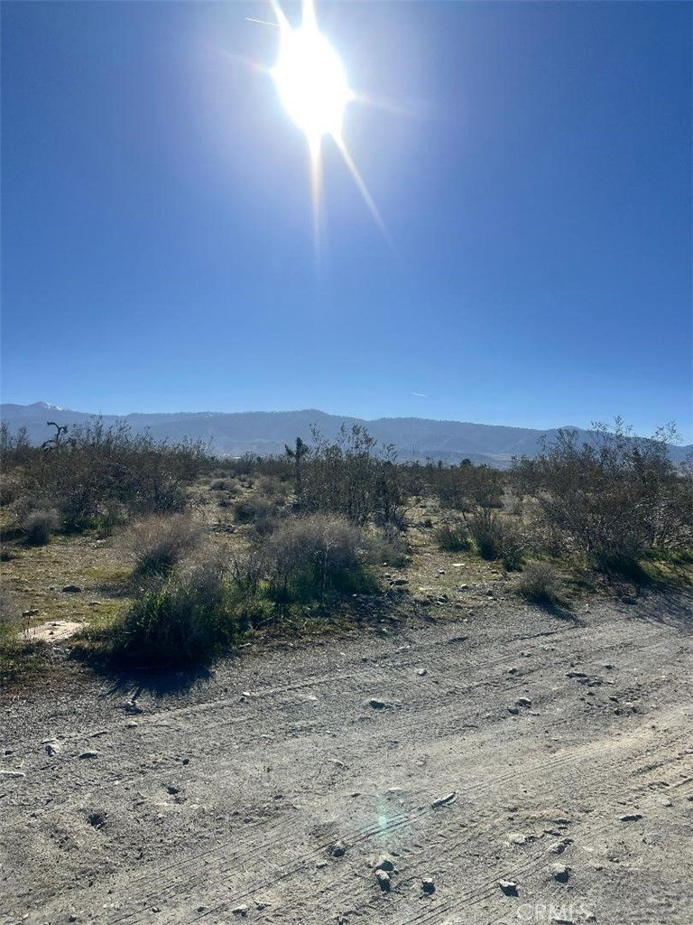 2525 Goss Road Pinon Hills, CA 92372 - Photo 2 of 2 a view of a dry yard with mountain view