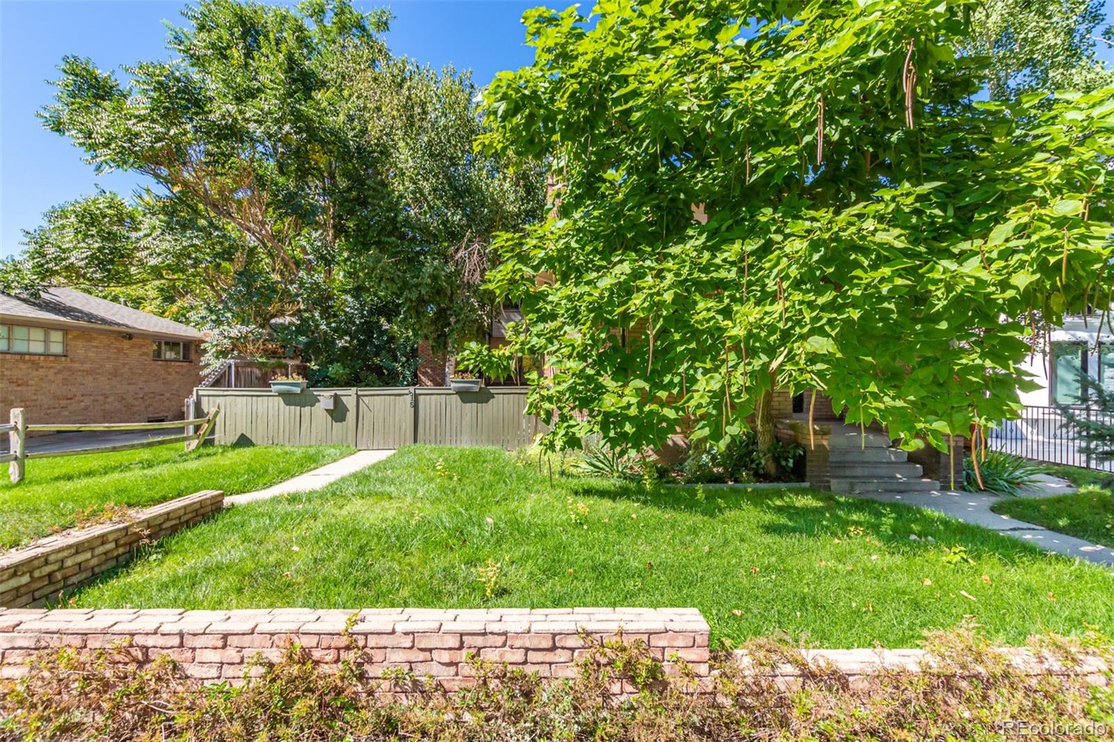 a view of backyard with large trees and plants