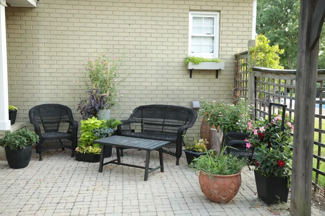 a view of a backyard with plants and a potted plant