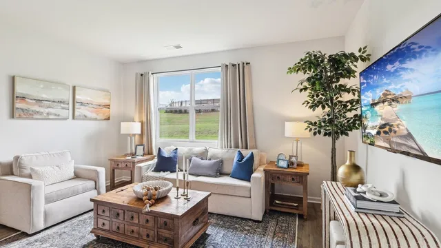 a living room with furniture and a potted plant