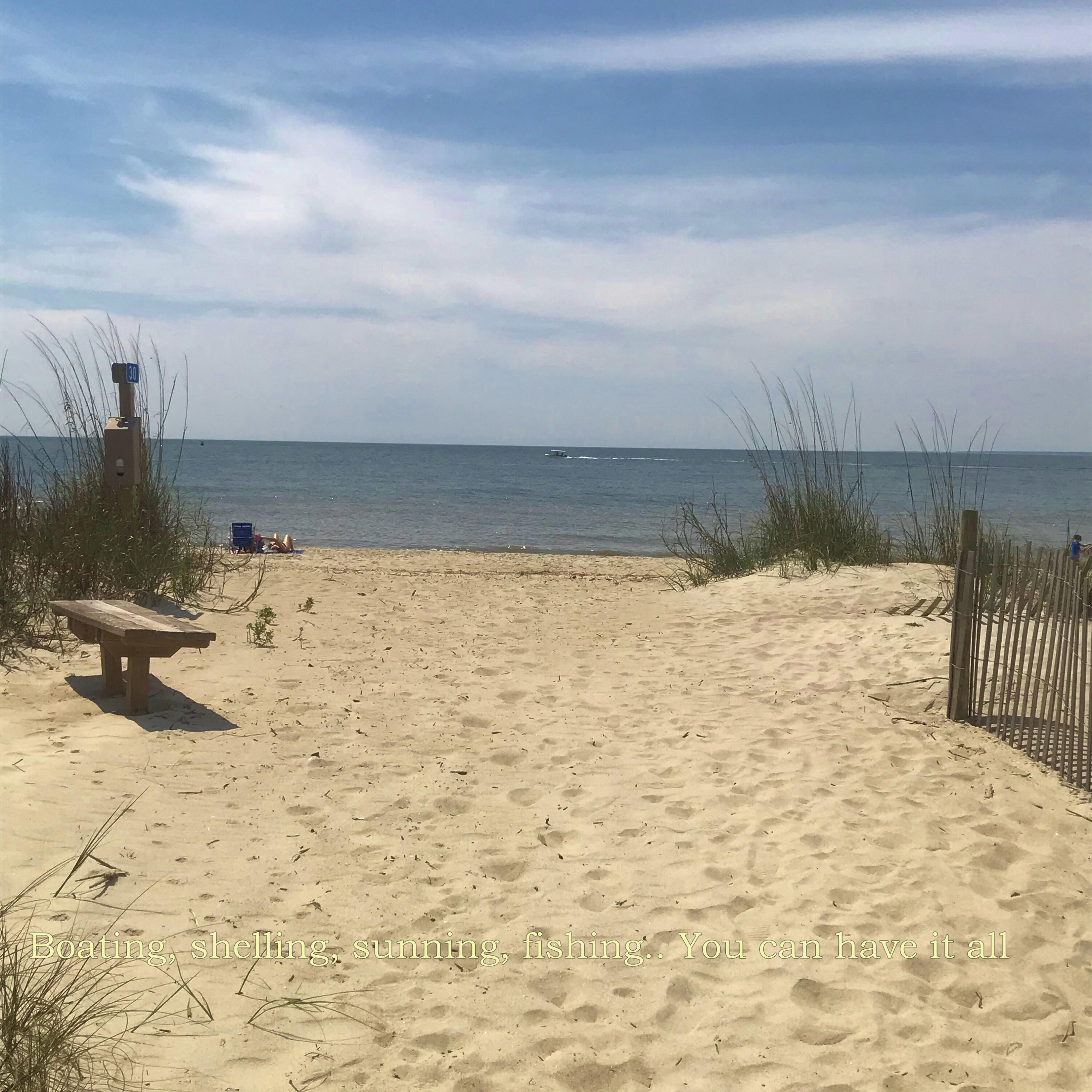 3102 Fort Street Edisto Beach, SC 29438 - Photo 4 of 14 3 copy