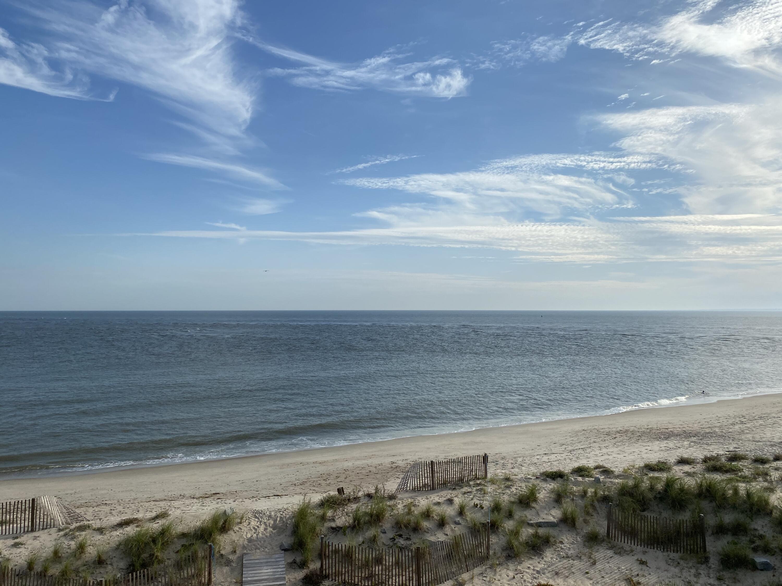 3102 Fort Street Edisto Beach, SC 29438 - Photo 6 of 14 3a (4)
