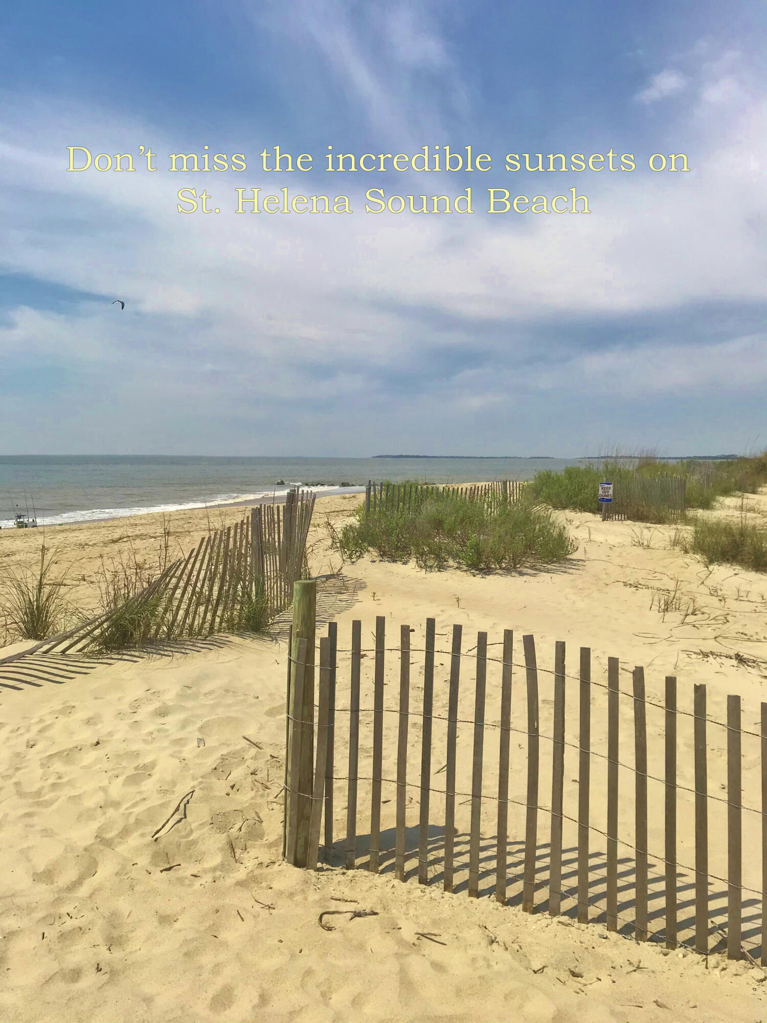 3102 Fort Street Edisto Beach, SC 29438 - Photo 9 of 14 5 copy