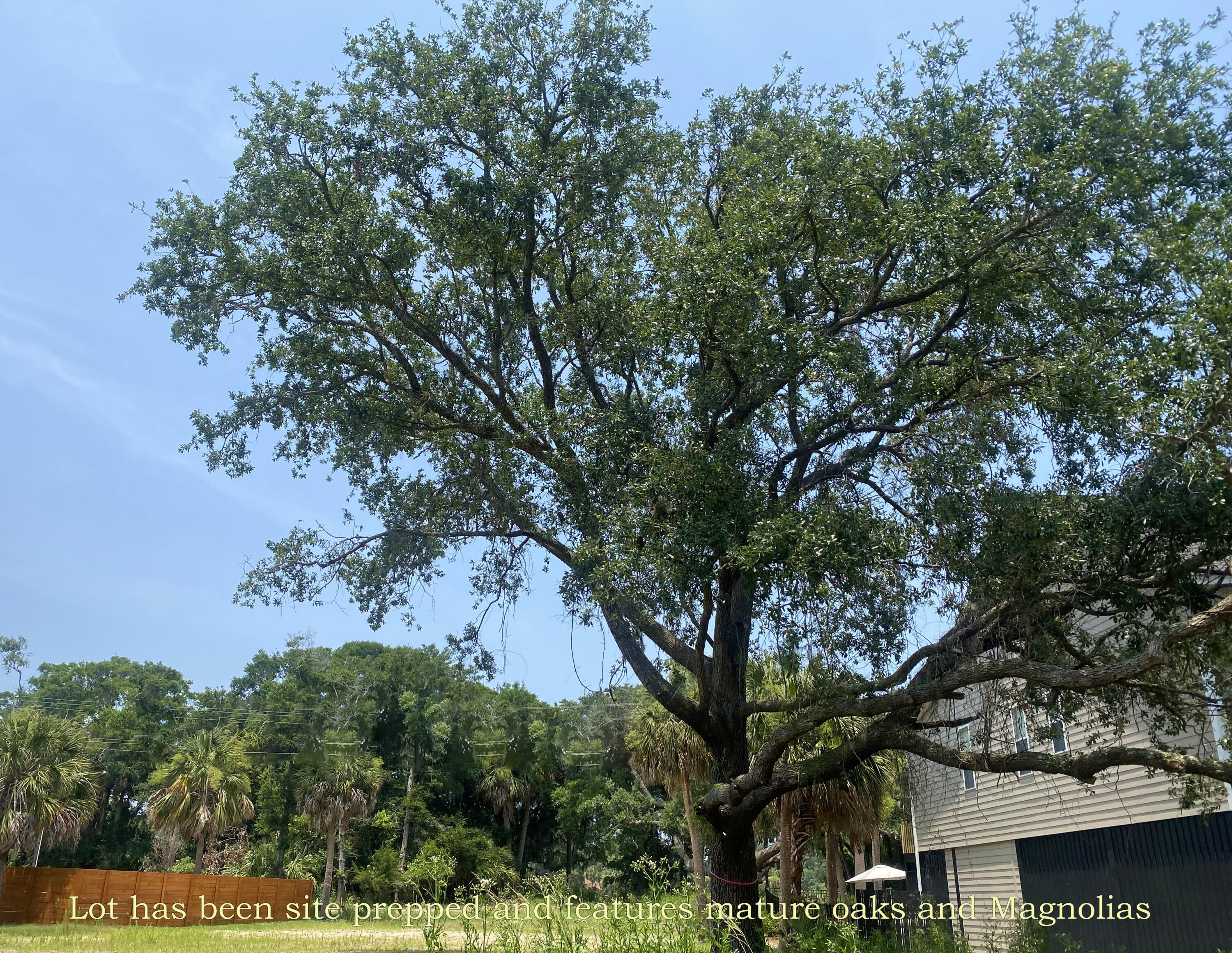 3102 Fort Street Edisto Beach, SC 29438 - Photo 10 of 14 6 copy