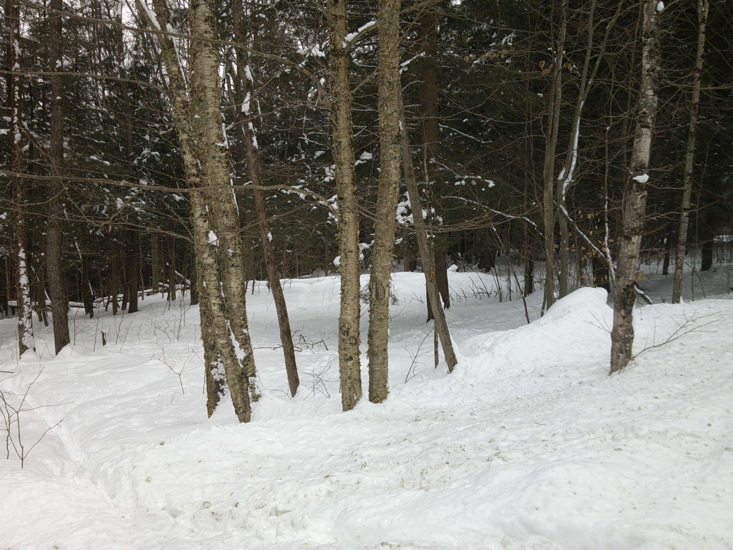 0 Plot Road, Unit 2 Johnson, VT 05656 - Photo 4 of 29