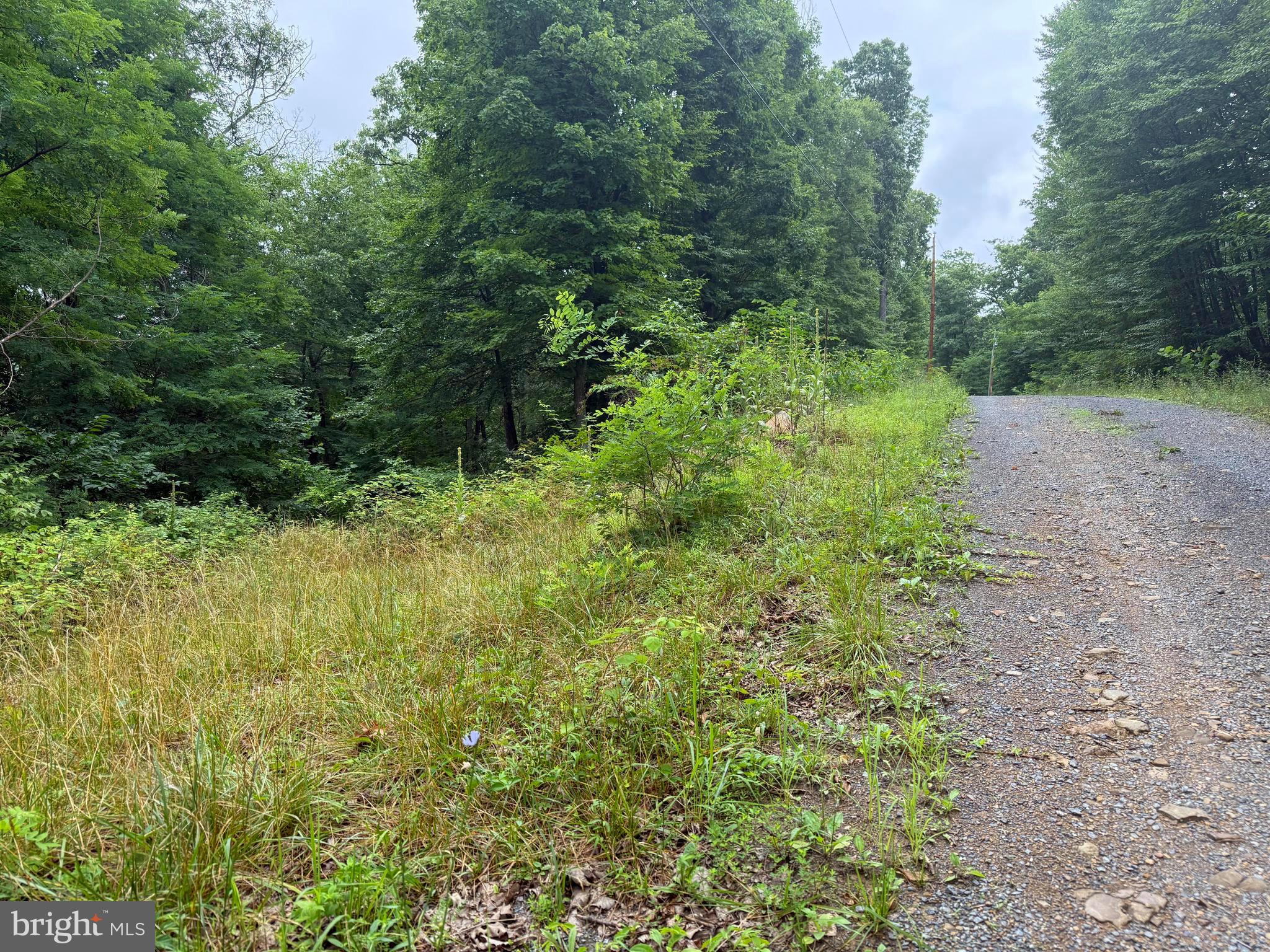 Tr D-15 Deer Path Road Augusta, WV 26704 - Photo 2 of 12 Driveway is cleared