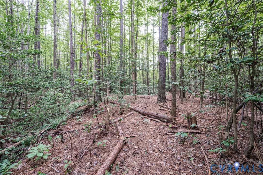 19151 Poor House Road Amelia Court House, VA 23002 - Photo 32 of 39 Wooded property with mature trees and natural grou