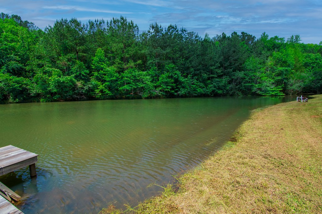 998 Pine Lake Road West Point, GA 31833 - Photo 39 of 58 Gallery Image 39