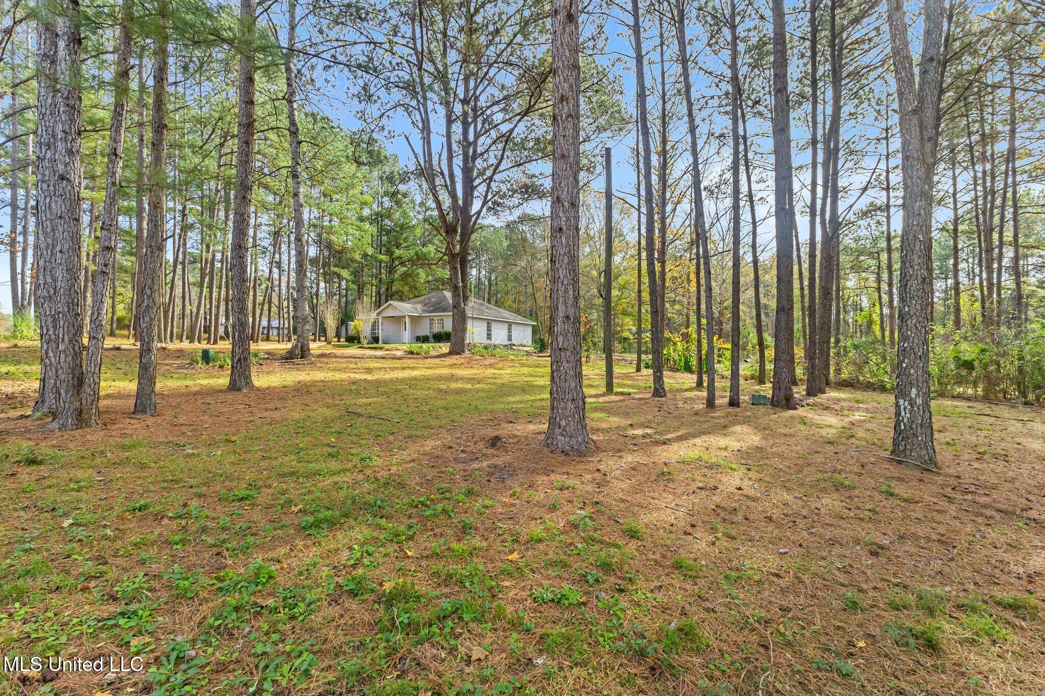 119 Sumrall Road Sumrall, MS 39482 - Photo 17 of 20 119_Sumrall_Rd_Refresh-17