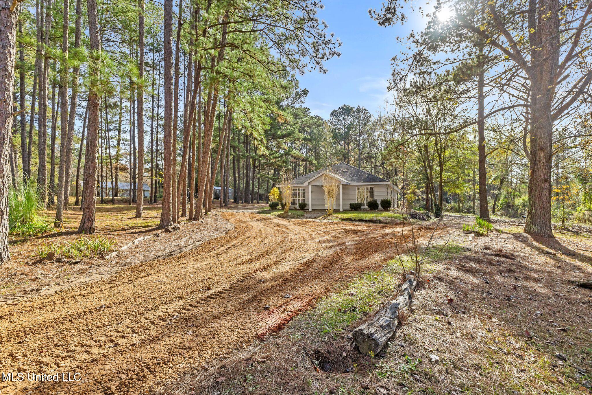 119 Sumrall Road Sumrall, MS 39482 - Photo 6 of 20 119_Sumrall_Rd_Refresh-6