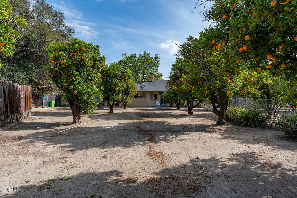 3941 Walnut Avenue Simi Valley, CA 93063 - Photo 25 of 26 a view of a tree in front of a house