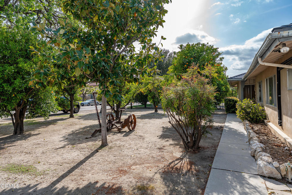 3941 Walnut Avenue Simi Valley, CA 93063 - Photo 26 of 26 a view of a backyard with plants and a large tree
