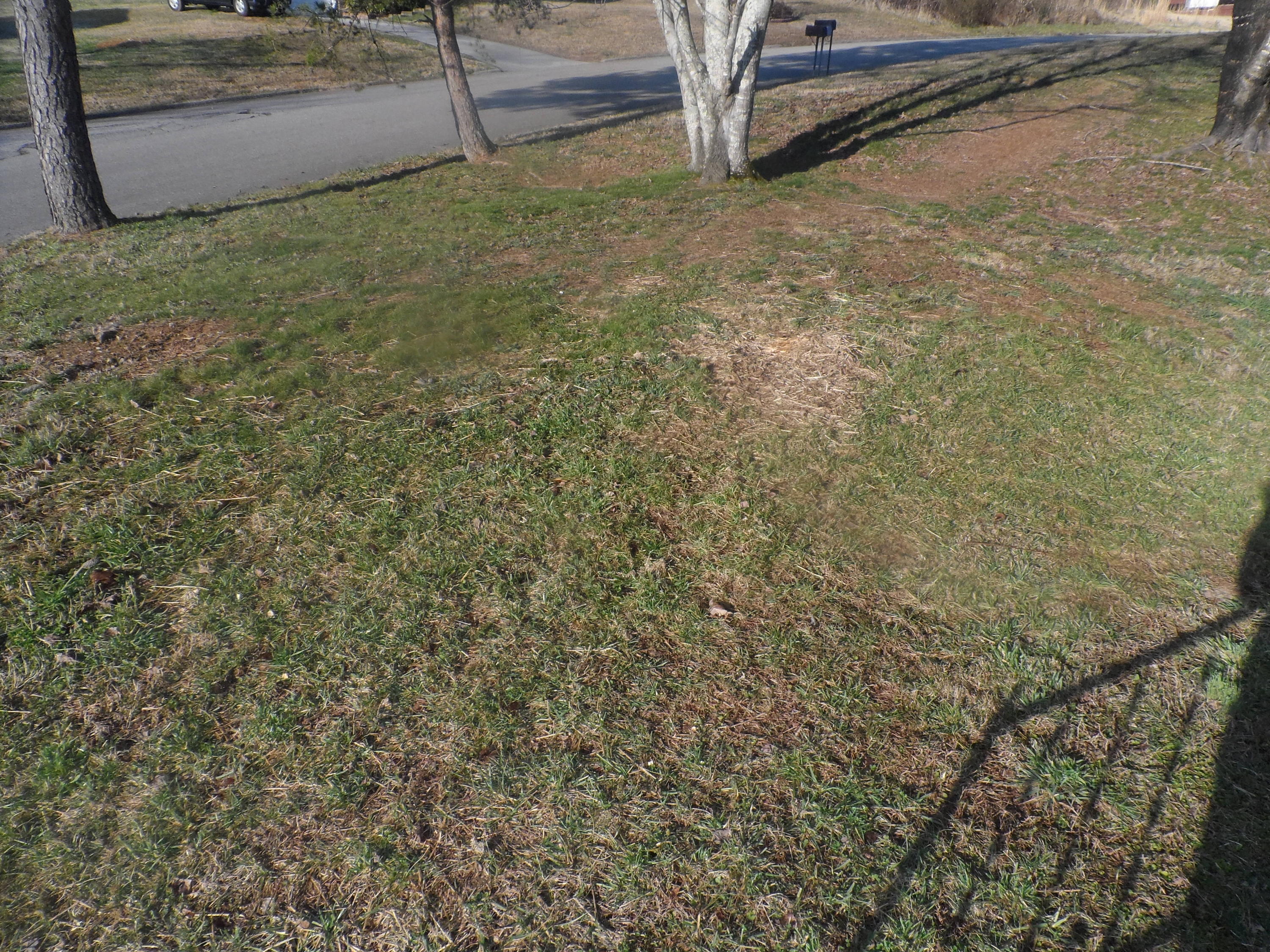 9017 Waconda Road Chattanooga, TN 37416 - Photo 8 of 25 SAM_0664