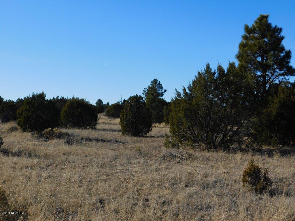 3356 Basin Road, Unit 11 Overgaard, AZ 85933 - Photo 1 of 6 DSCN1467