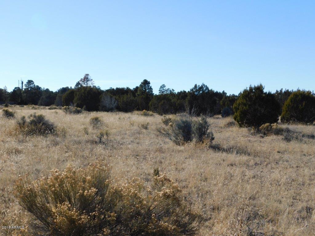 3356 Basin Road, Unit 11 Overgaard, AZ 85933 - Photo 3 of 6 DSCN1466