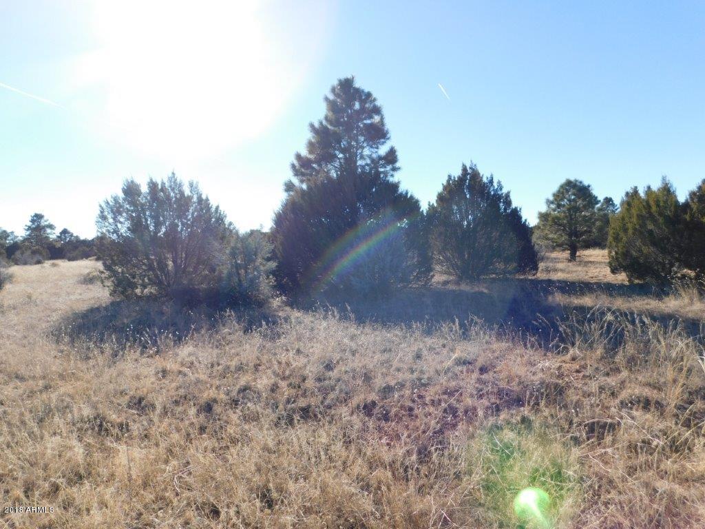 3356 Basin Road, Unit 11 Overgaard, AZ 85933 - Photo 5 of 6 DSCN1462