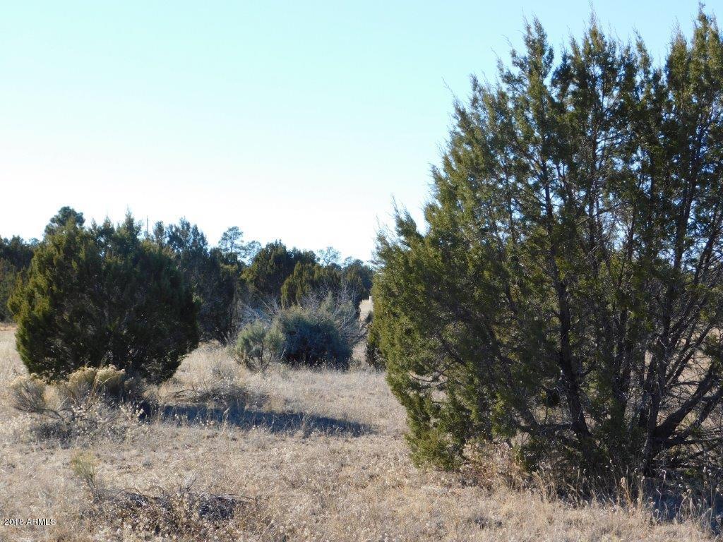 3356 Basin Road, Unit 11 Overgaard, AZ 85933 - Photo 6 of 6 DSCN1463